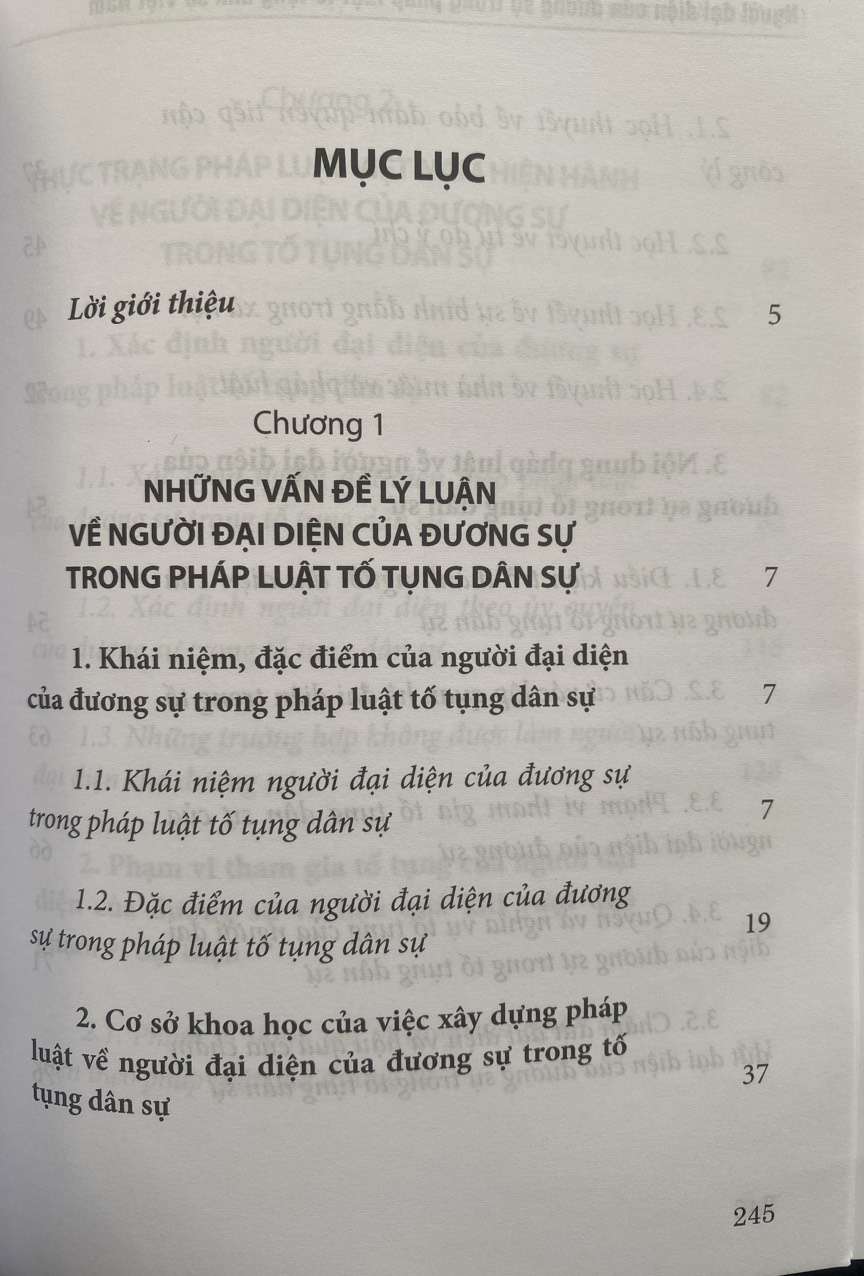 Người Đại Diện Của Dương Sự Trong Pháp Luật Tố Tụng Dân Sự Việt Nam