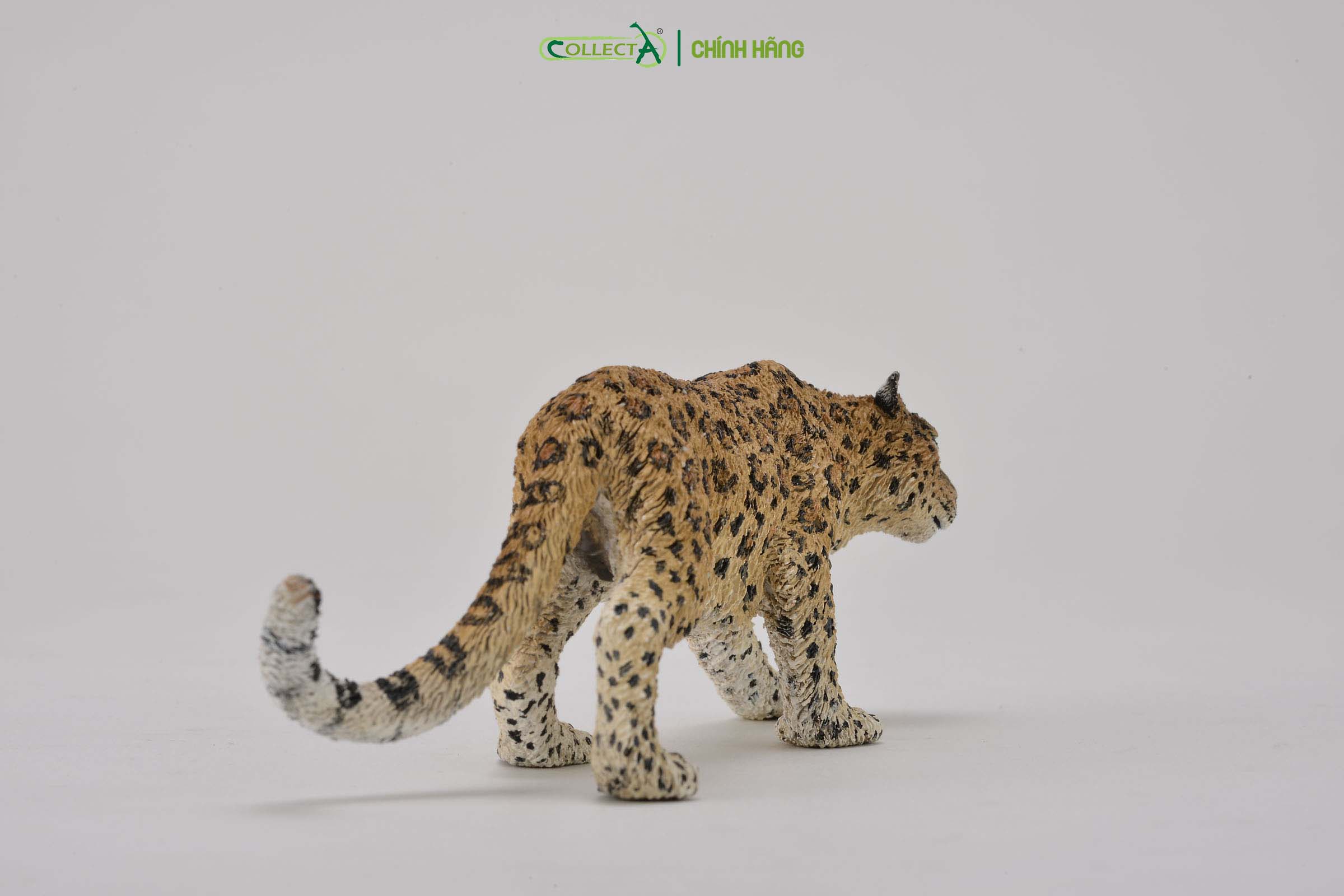 Mô hình thu nhỏ: Báo Hoa Mai - Amur Leopard , hiệu: CollectA, mã HS 9651190[88708] -  Chất liệu an toàn cho trẻ - Hàng chính hãng