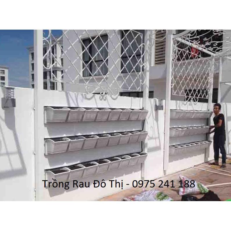 Bộ chậu trồng cây, trồng rau, trồng hoa trên tường cỡ lớn màu đen (1 đế + 2 chậu trồng)