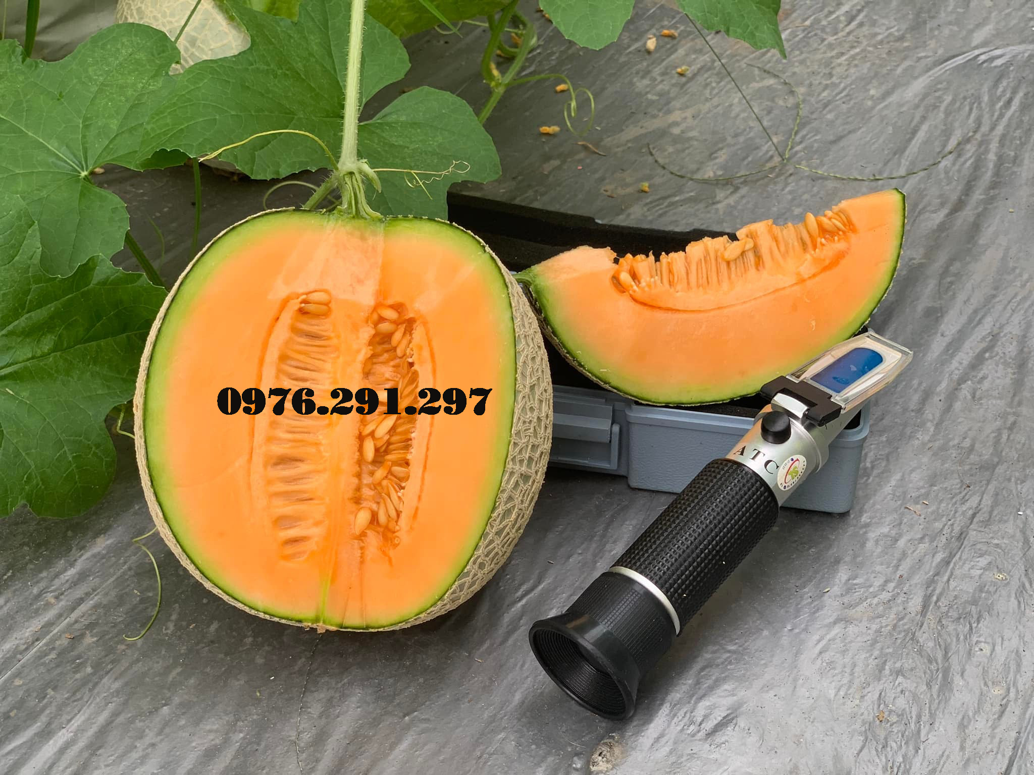 Khúc xạ kế đo độ cồn và độ ngọt