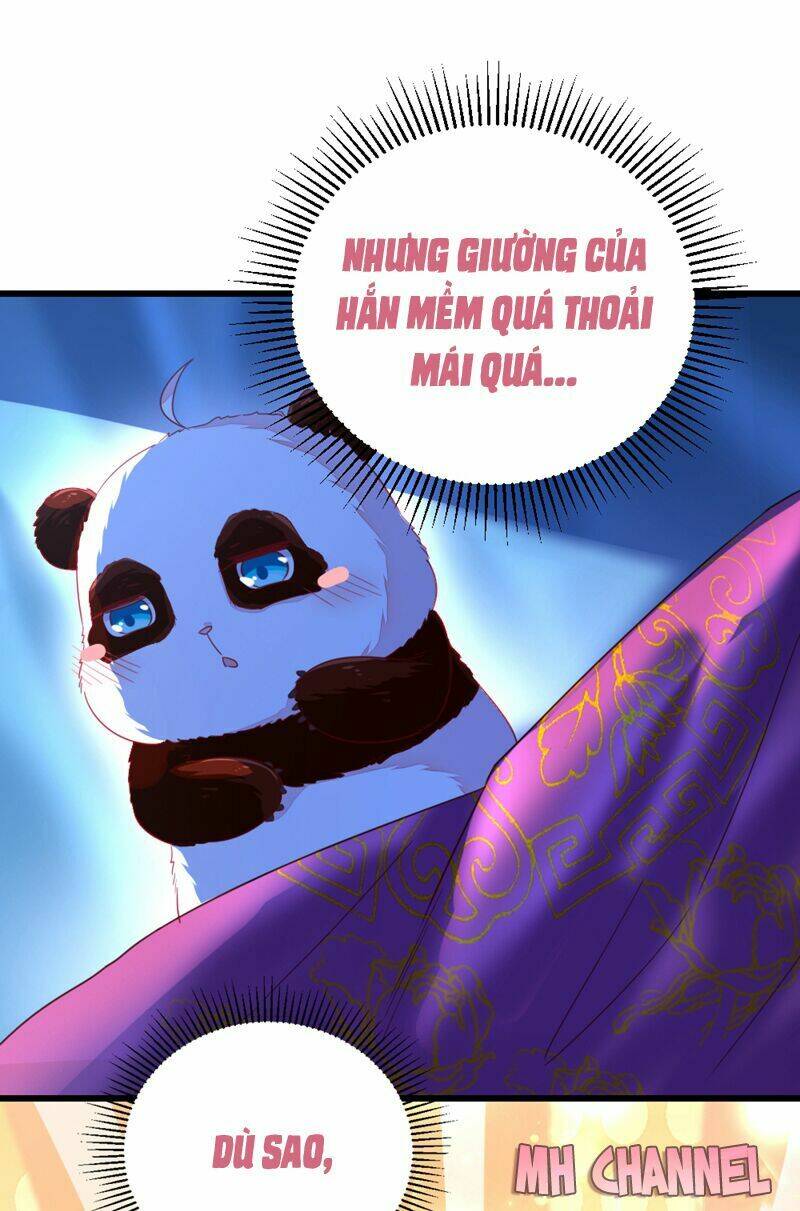 thiên thần gấu trúc muốn được ôm chapter 16 7