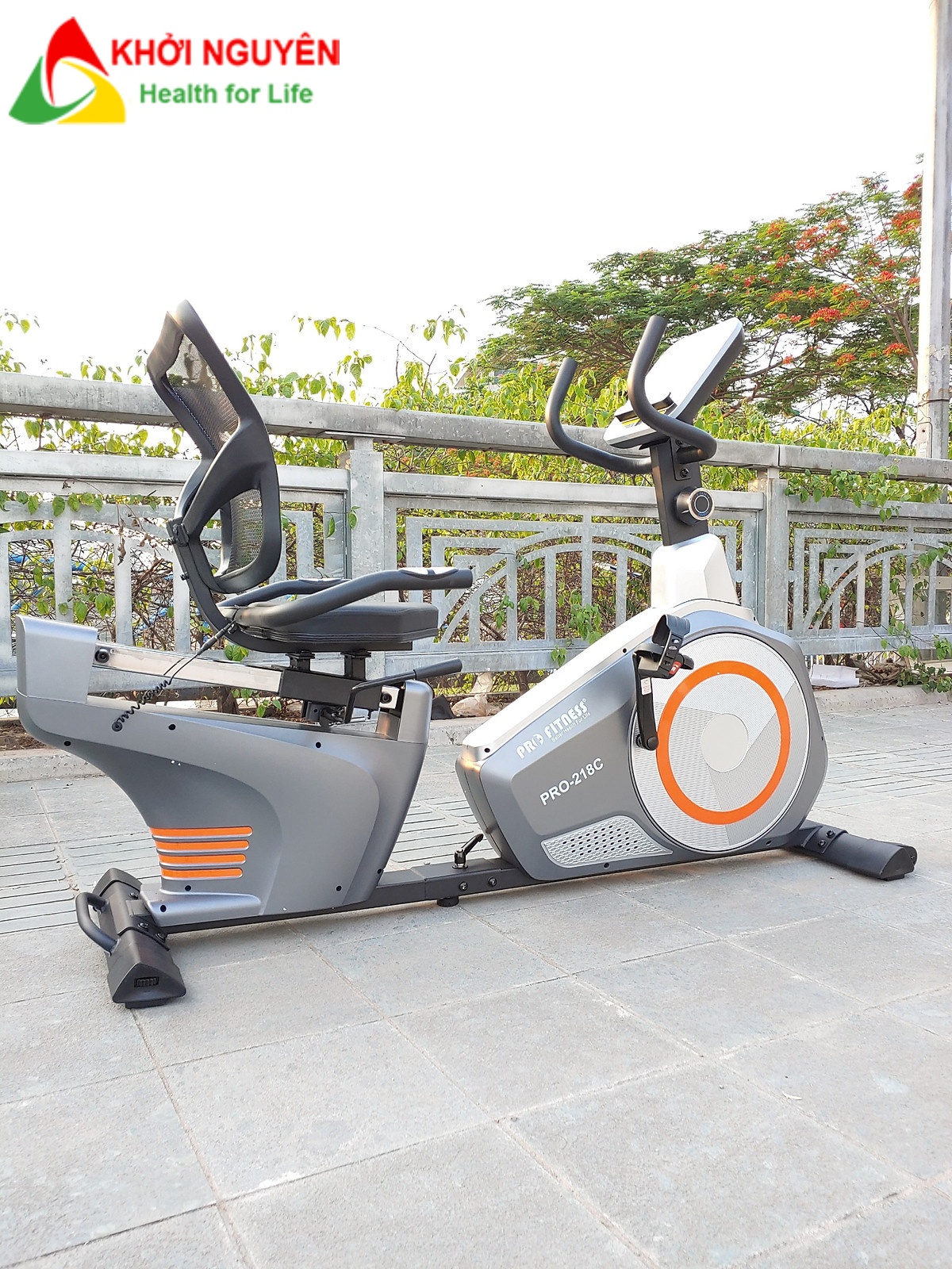 Xe đạp tập thể dục có ghế tựa lưng Pro Fitness PRO-218C