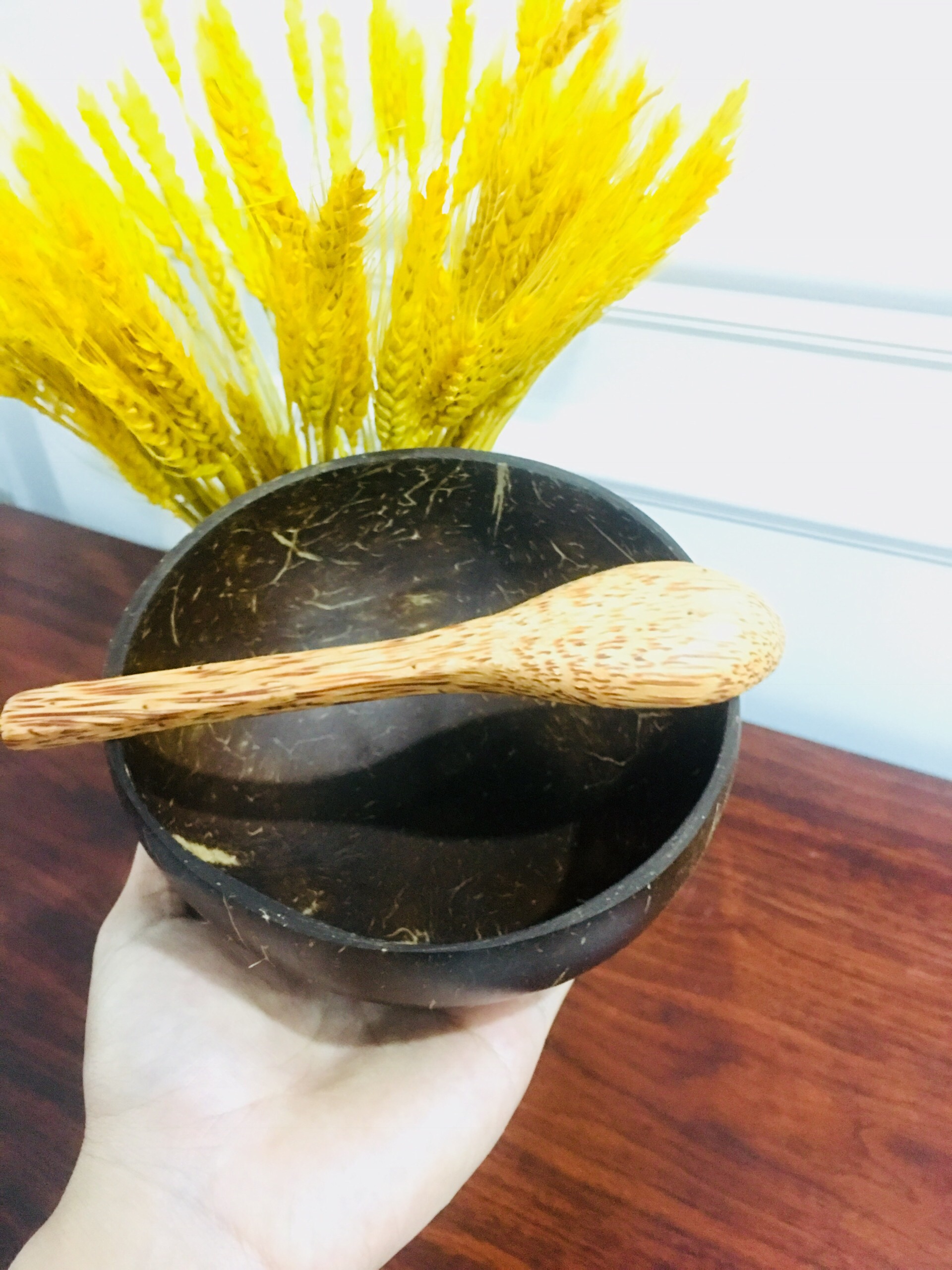 Bộ chén gáo dừa + muỗng gỗ dừa đường kính 11-13cm