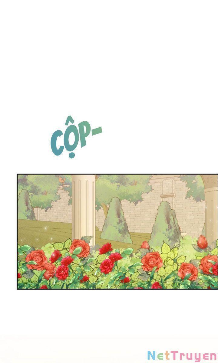 xin ngài đừng ăn tôi chapter 47 1