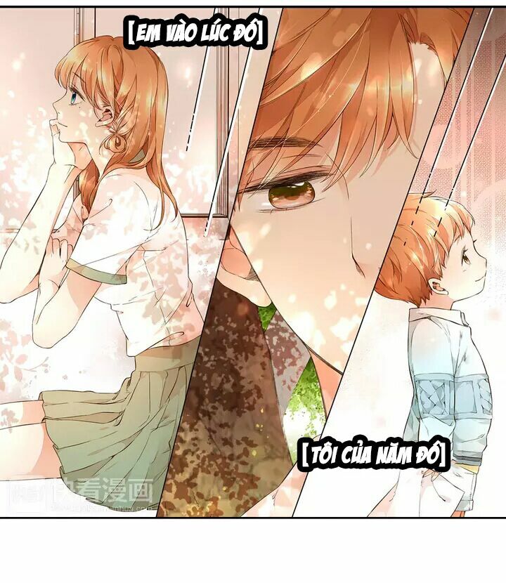 Tình yêu là màu hoa anh thảo chapter 15.1 21