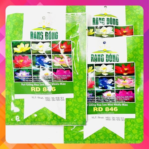 Hạt giống hoa sen mini nhiều màu RD 846