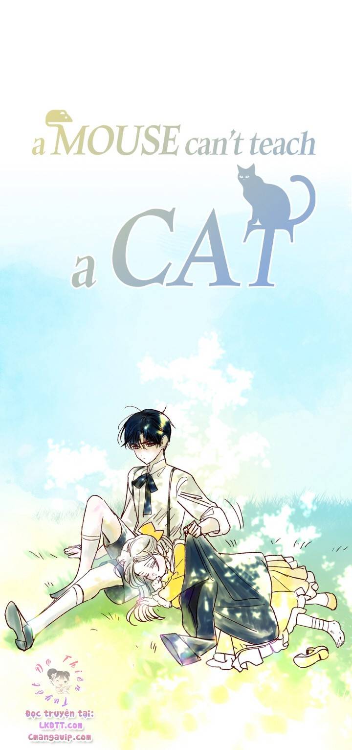 cha, con không muốn kết hôn đâu chapter 39 97