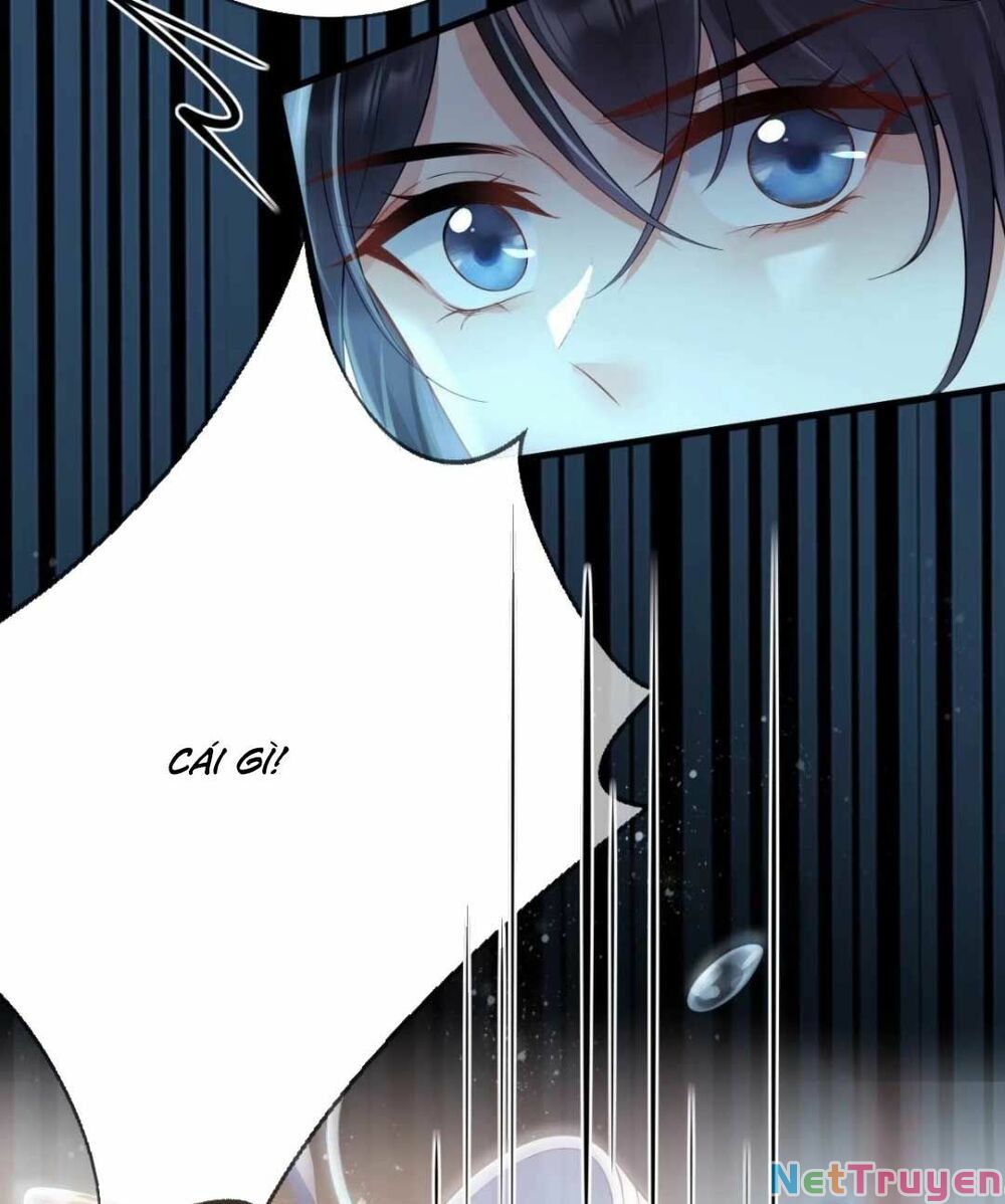 sự trả thù của vương phi chapter 11 36