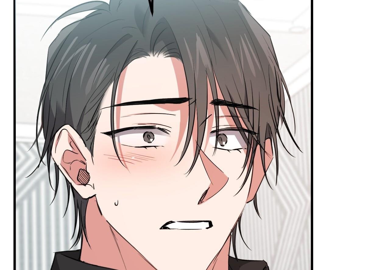 những chú thỏ của hapypy chapter 60 226