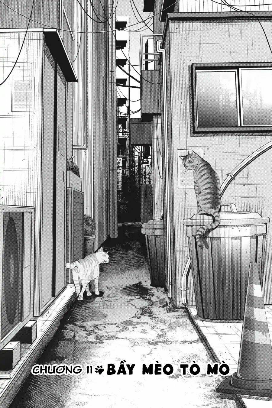 nyankees chapter 11 2