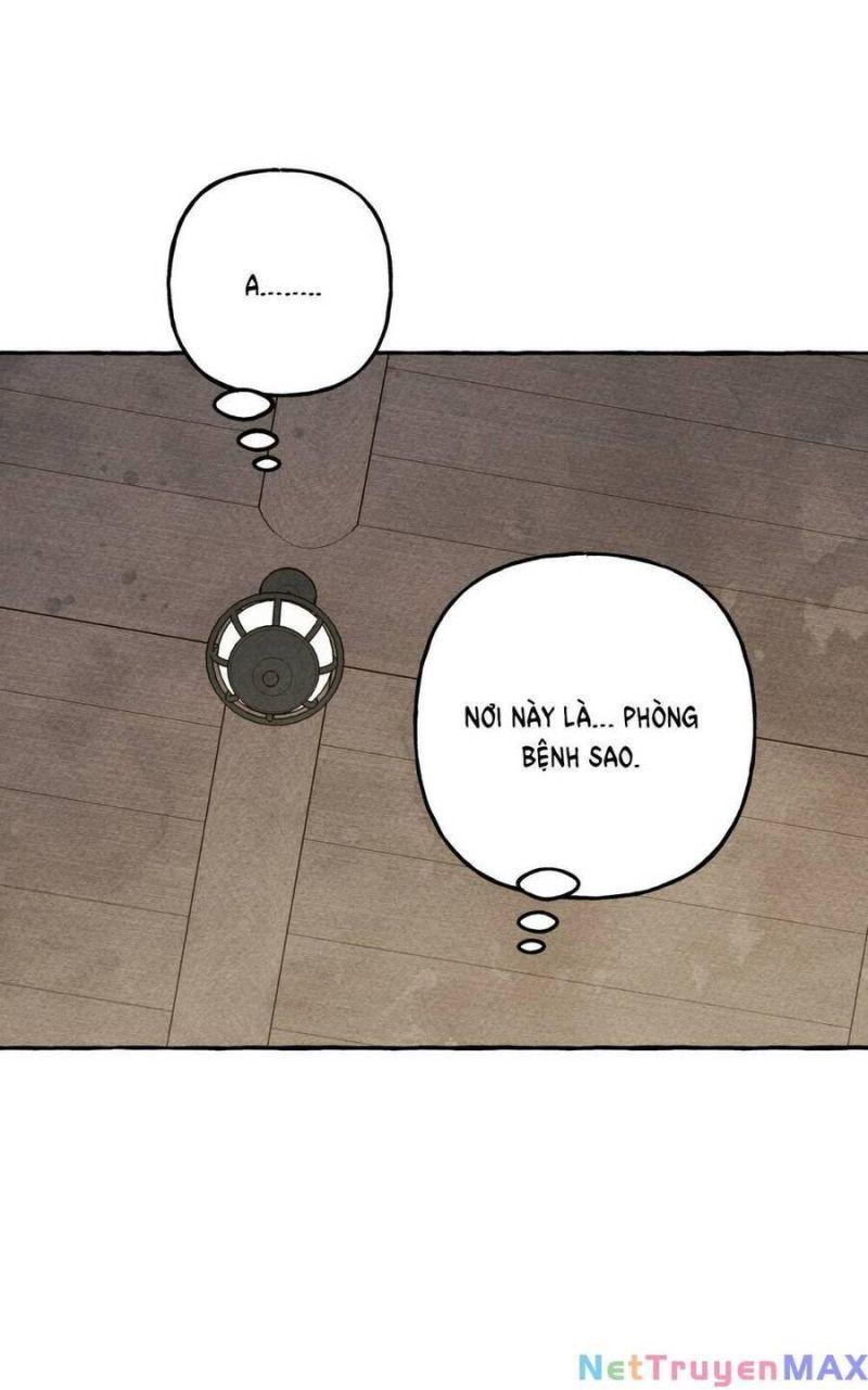 nuôi dưỡng một hắc long chapter 73.1 34