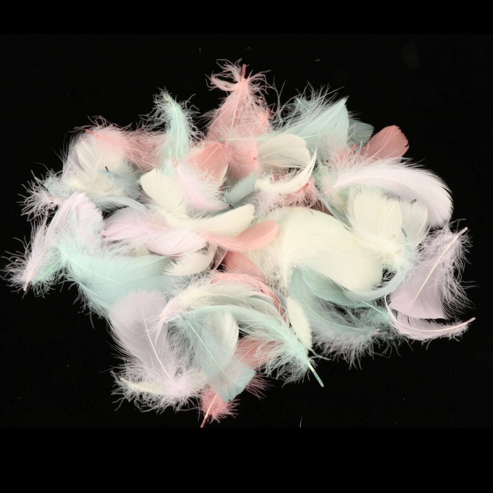 200Pcs  Feather Colorful Feathers for Festivals Party Decorations