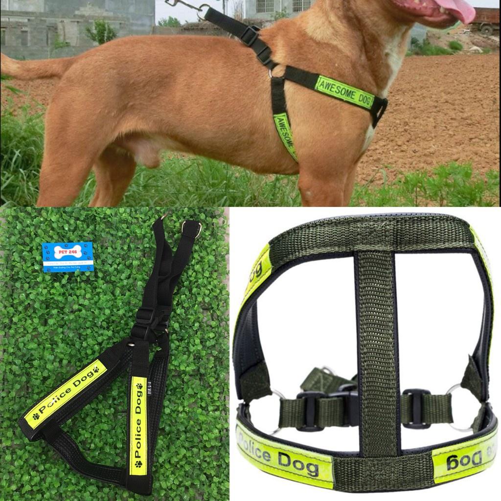 Bộ dây dắt yếm cho chó lớn Police Dog ( 3 size )