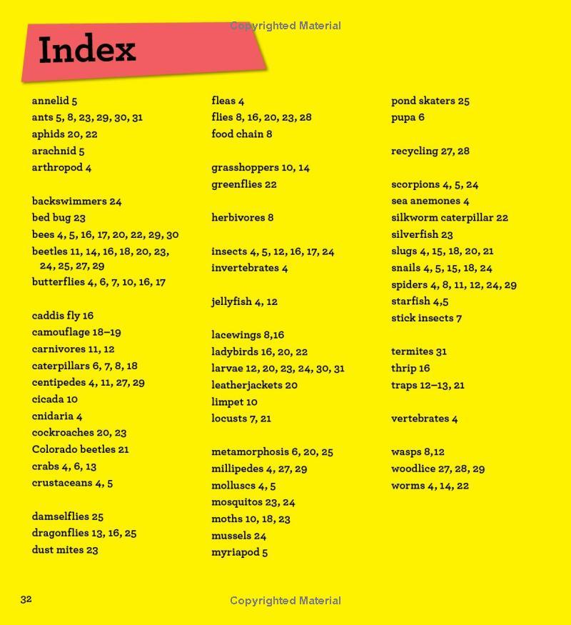 Sách ngoại văn: Discover It Yourself - Minibeasts