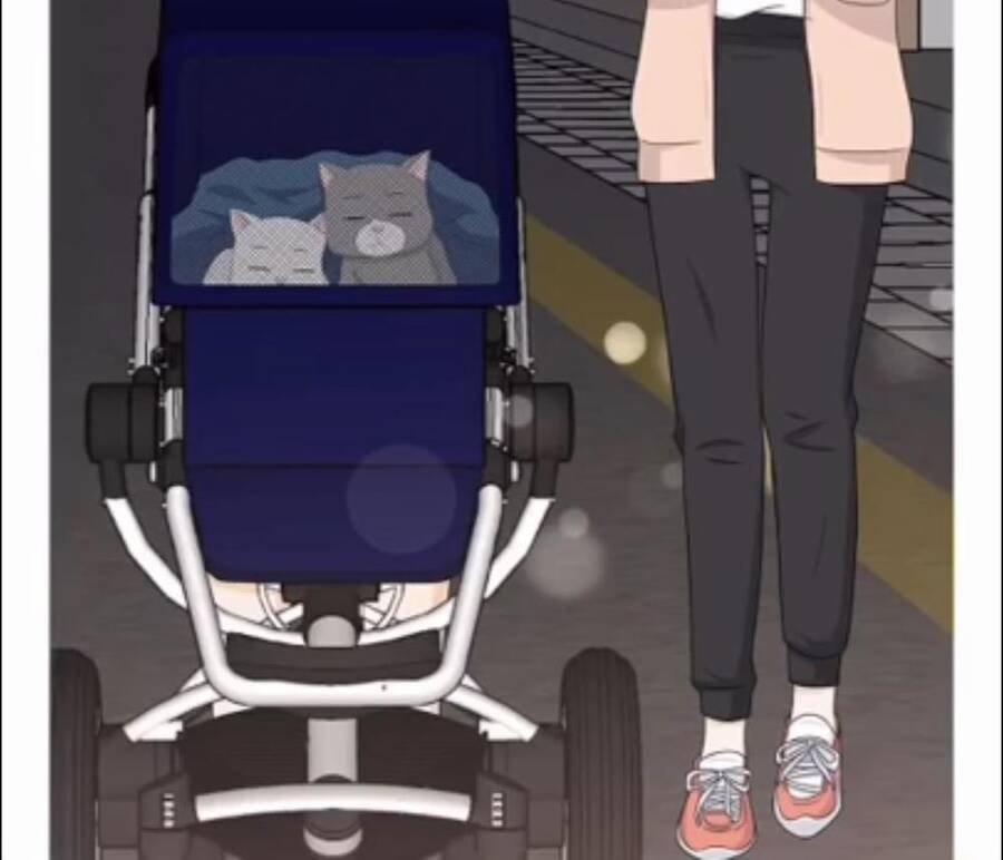 idol và sếp, em yêu ai? chapter 128 32