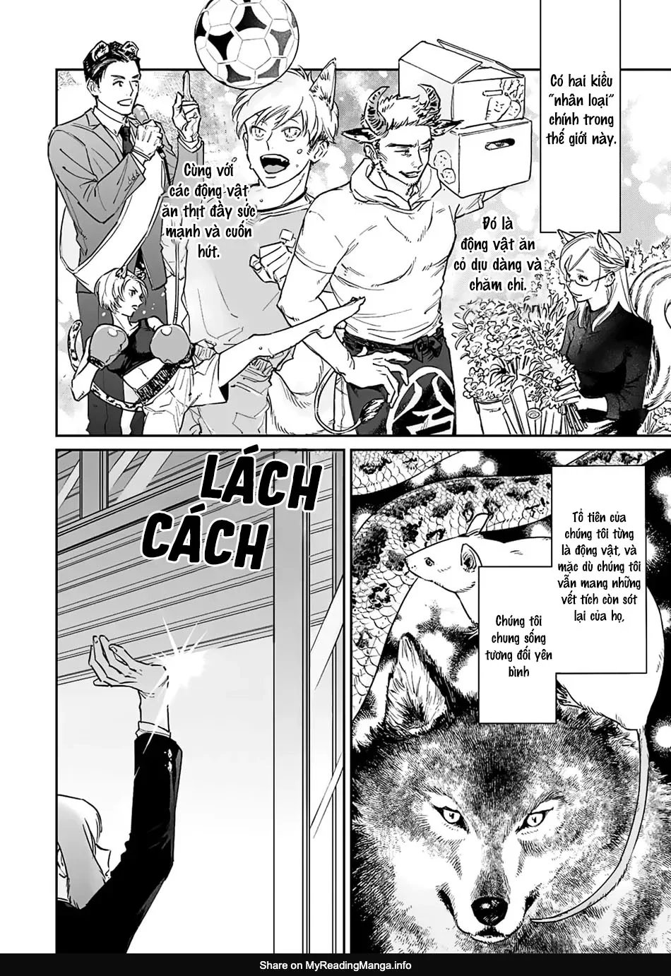 thỏ cưng của chàng hổ chapter 1 6