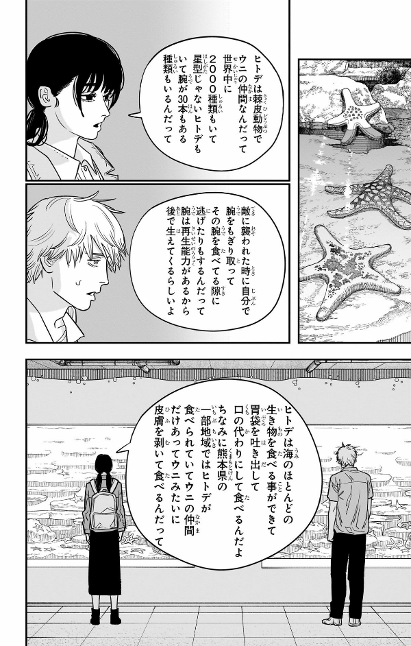チェンソーマン 14 - Chainsaw Man 14