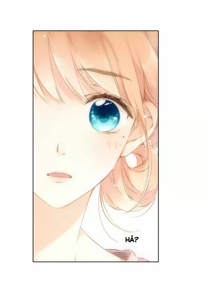 Tình yêu là màu hoa anh thảo chapter 27.2 35