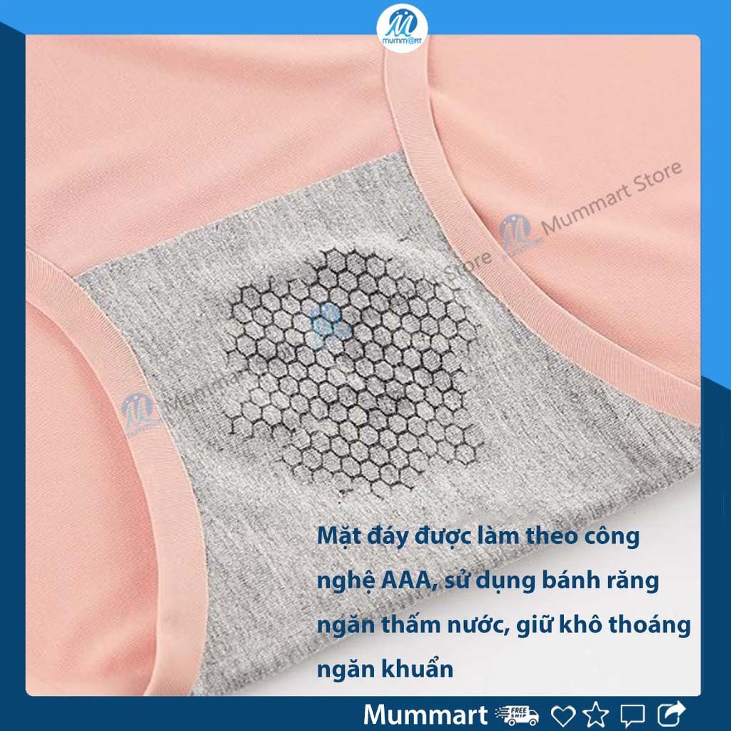 Quần lót nữ đúc su kháng khuẩn không lộ ngấn hoa cúc. Chip nữ không viền hoa cúc, vải mát, mặc đầm body ôm sát