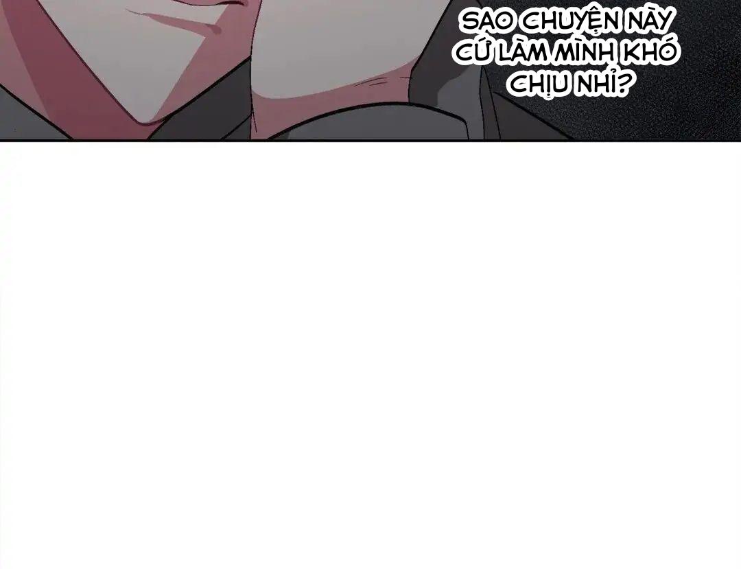 hãy vâng lời anh chapter 22 39