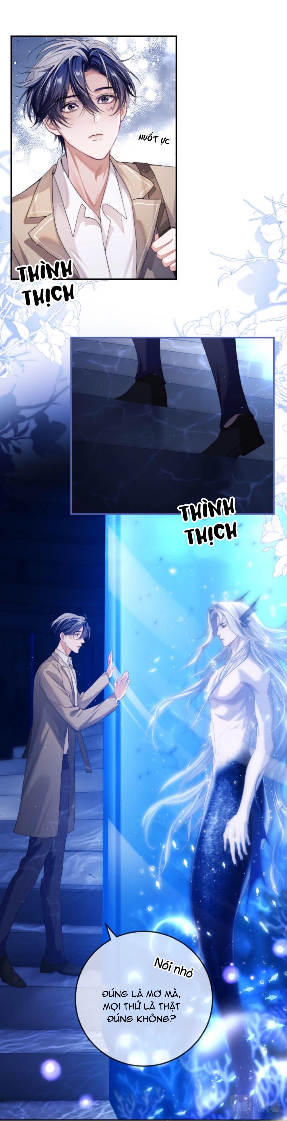 nhân ngư dessaro chapter 2 17