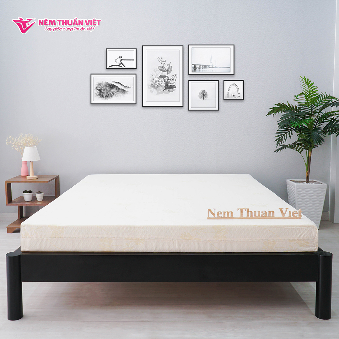 (1m2x2mx15cm) Nệm Foam Cao Cấp Thuần Việt Platinum Công Nghệ Hoa Kỳ, Kháng Khuẩn Tối Ưu