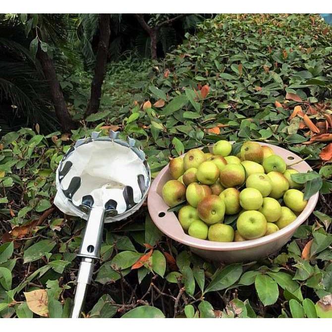 Dụng Cụ Hái Quả, Hái Trái Cây Đa Năng chất lượng tốt