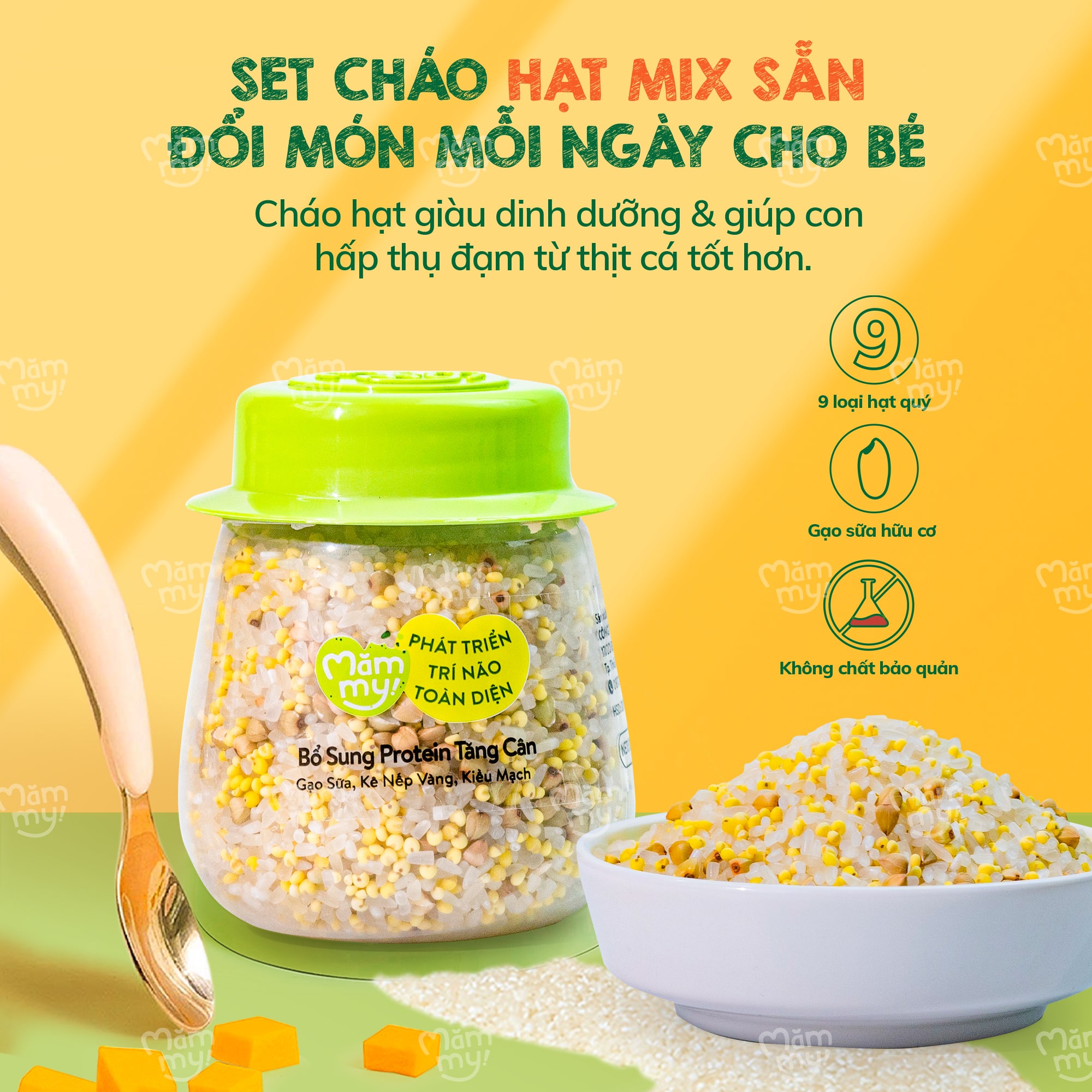 Hạt mix Mămmy cho bé ăn dặm protein tăng cân trên 6 tháng gạo sữa, kiều mạch và kê nếp, hũ 135g
