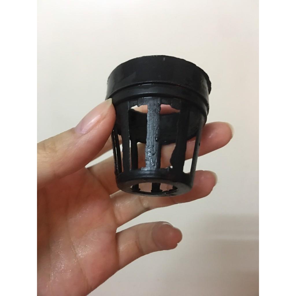 Chậu trồng lan cấy mô 100 chậu