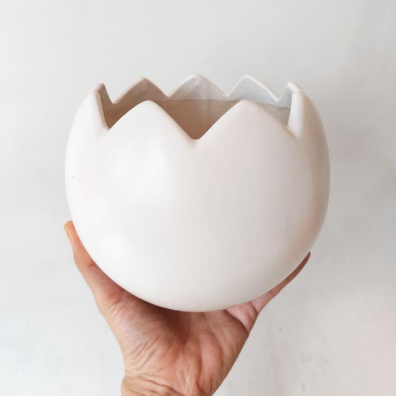 Chậu sứ hình trứng trồng cây siêu cute, đáng yêu, phù hợp trồng cây cảnh để bàn trang trí không gian sống