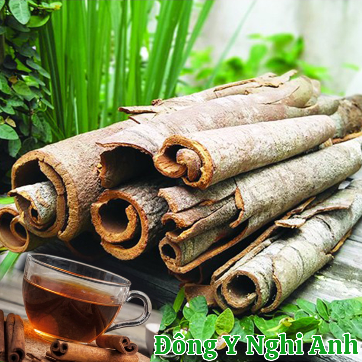Túi Quế Thanh Sạch Sấy Khô 500Gr Đông Y Nghi Anh