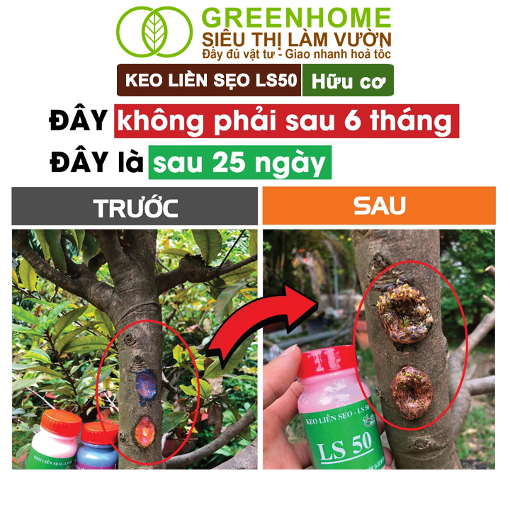 Keo Liền Sẹo LS50 Cho Cây Greenhome, Liền Nhanh Vết Cắt Da Cây, Chiết Cành,  Bonsai, Lan, Kiểng Lá