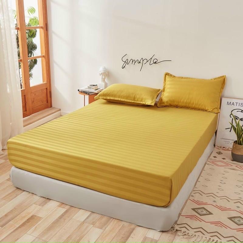 Set ga gối Cotton kẻ 3f mát mịn sang chuẩn khách sạn 5️