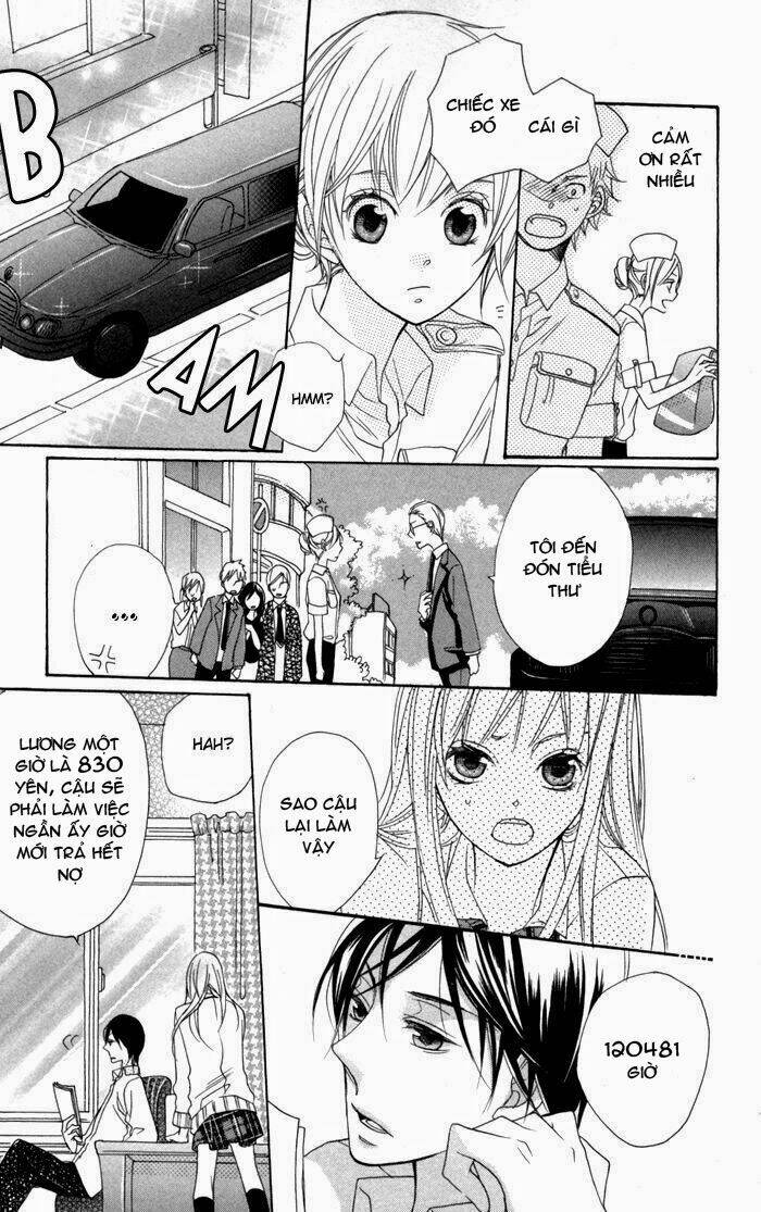 hoa hồng hoang dã chapter 2 12