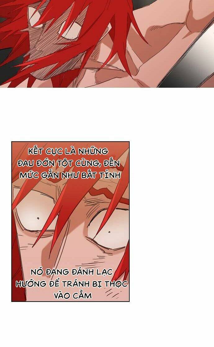 võ sĩ - the boxer chapter 23 13