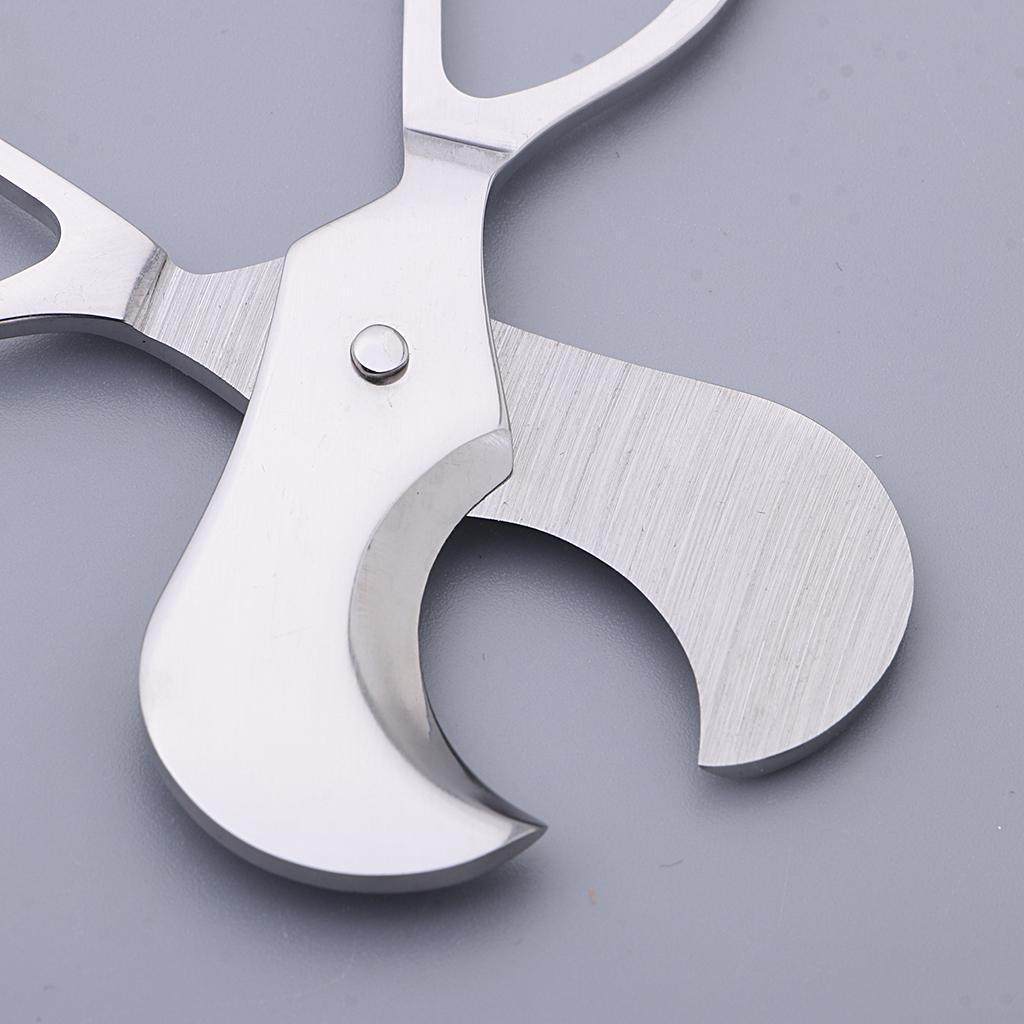 Stainless Steel       Scissors Tools