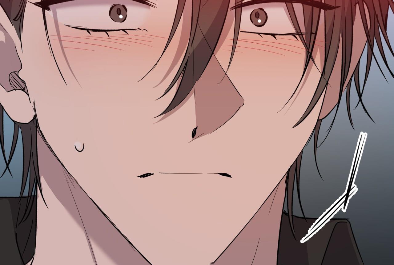 những chú thỏ của hapypy chapter 57 187