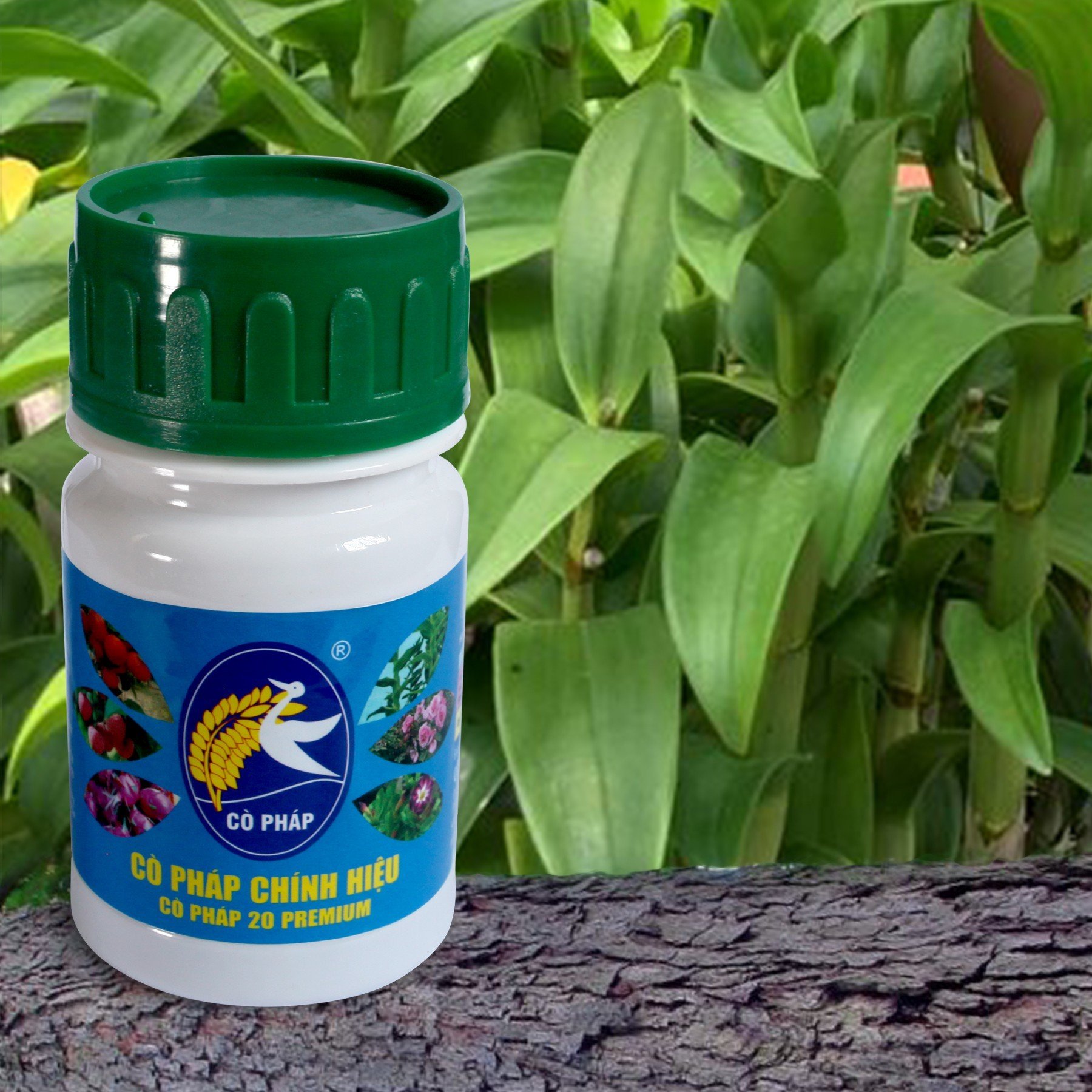 Phân Bón NPK 20.20.20 cân bằng dinh dưỡng, hoàn thiện sinh khối phát triển rễ, thân, lá