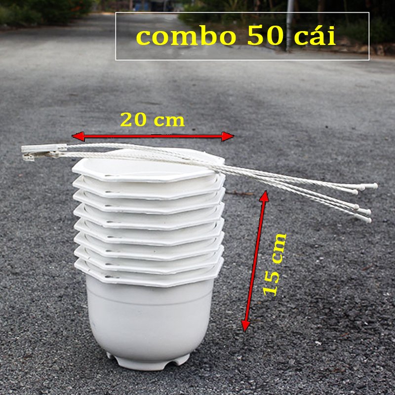 50 chậu treo trắng trơn đường kính 20x15cm-77472