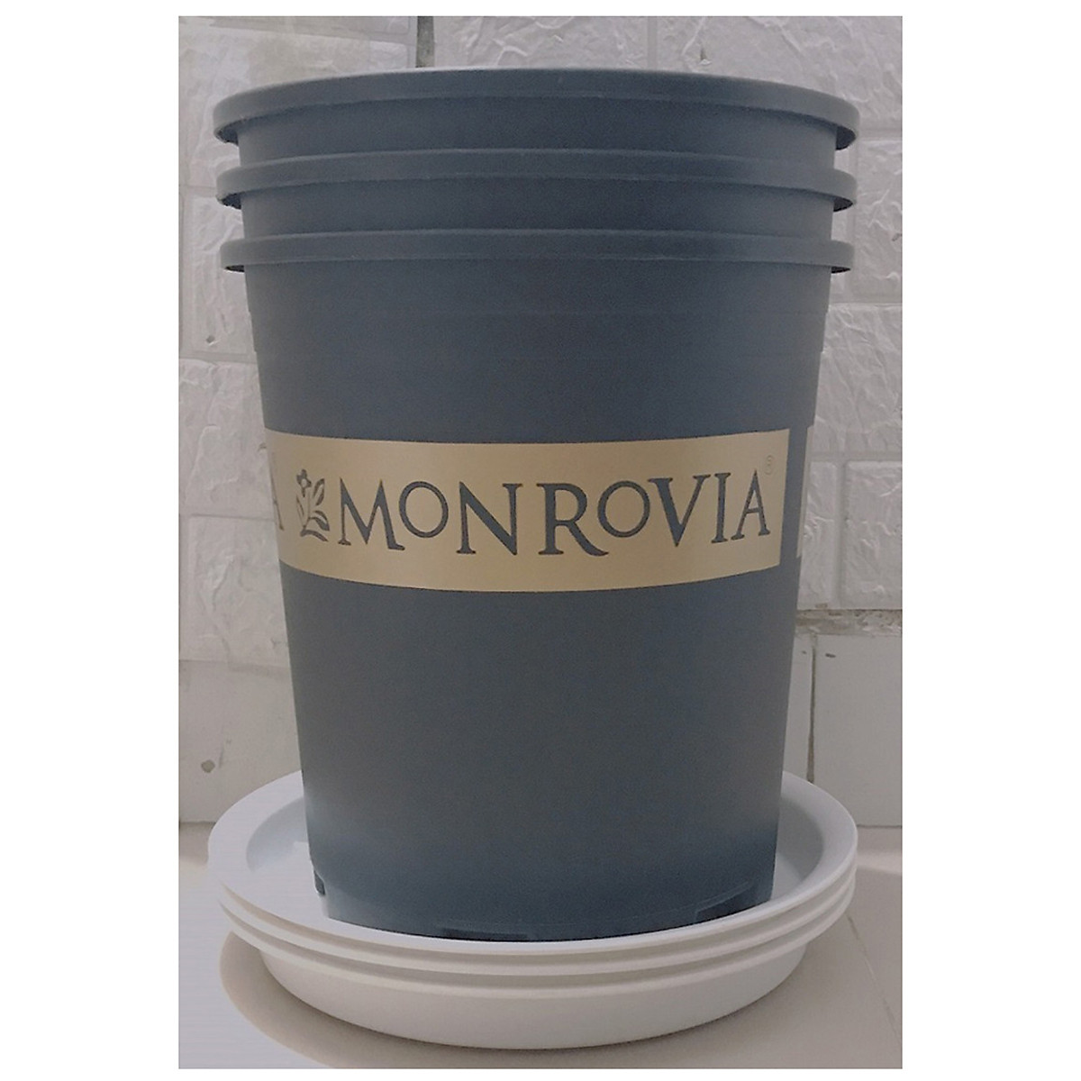 Combo 3 Chậu MONROVIA CH Garden 3Gal - Màu Đen + 3 Khay Lót Đế Chậu D270