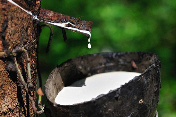 Bao Cao Su Krabi Có Gai Và Kéo Dài Thời Gian 4