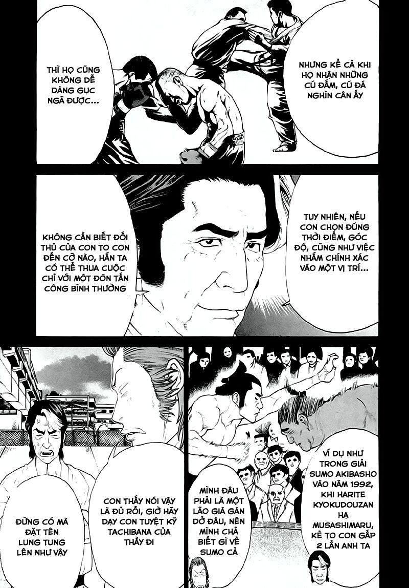 karate shoukoushi kohinata minoru chapter 195 7