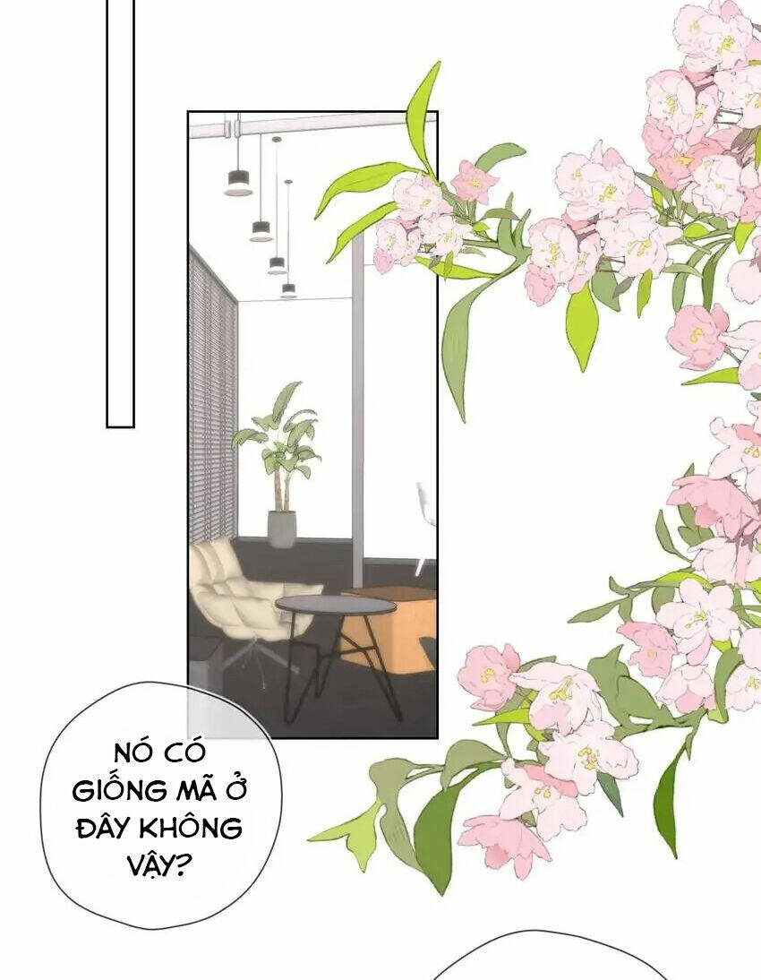 vì sao của tôi chapter 151 29