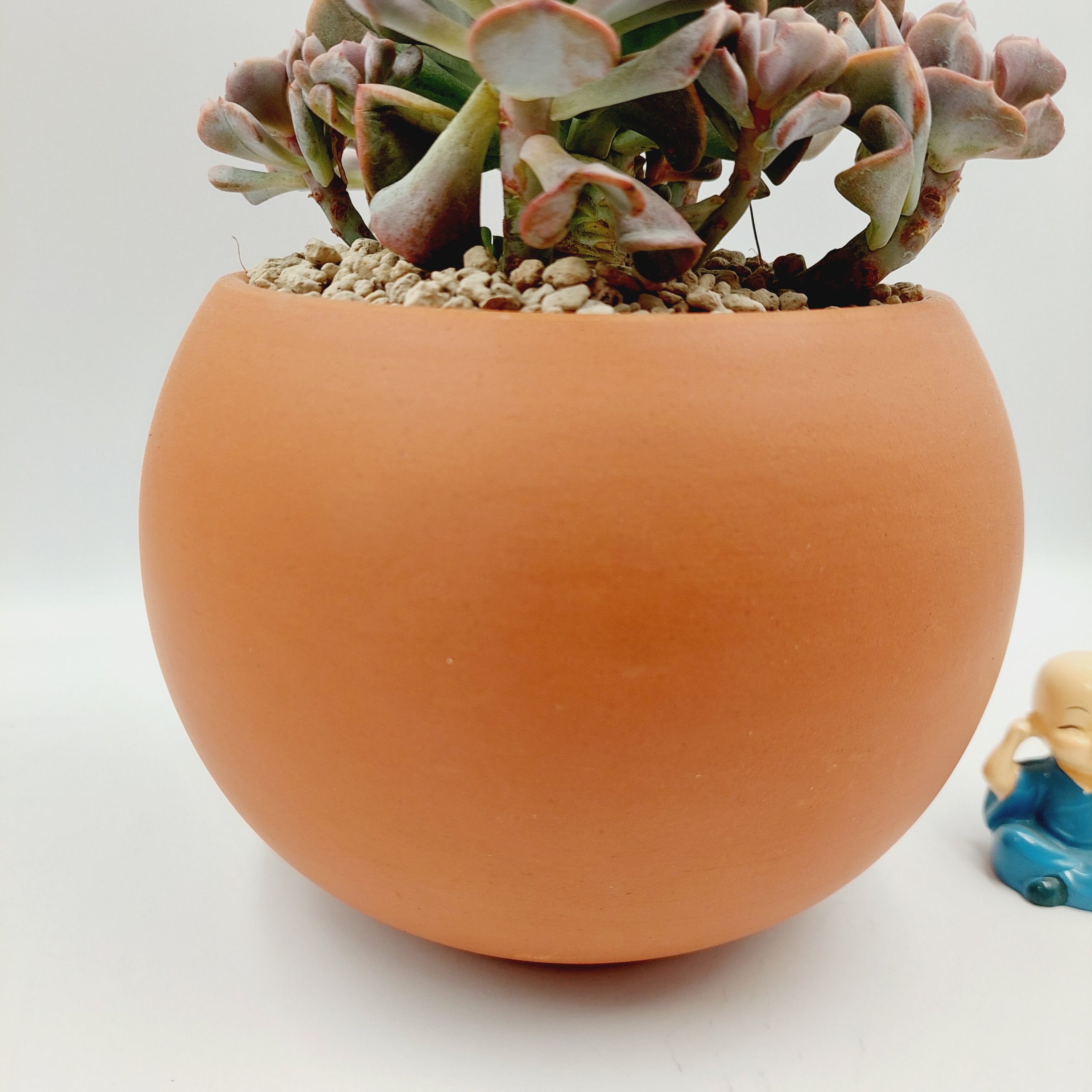 Chậu đất nung, chậu sen đá - A ball succulent 13125, miệng chậu 13cm, chiều cao 12.5cm