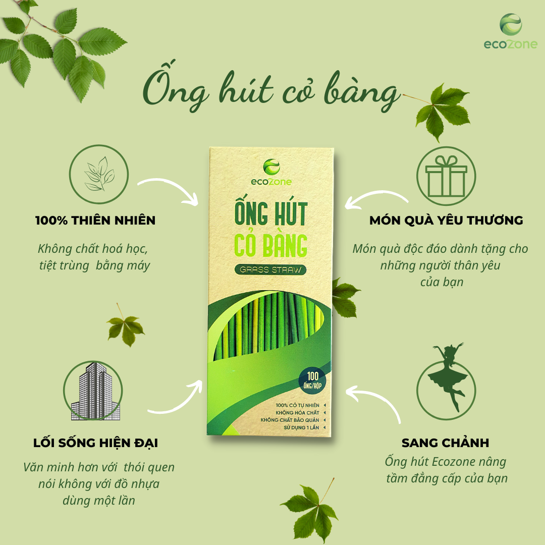 Combo 5 hộp 100 ống hút cỏ bàng khô Ecozone - Grass Straws Vietnam - Tiêu chuẩn xuất khẩu