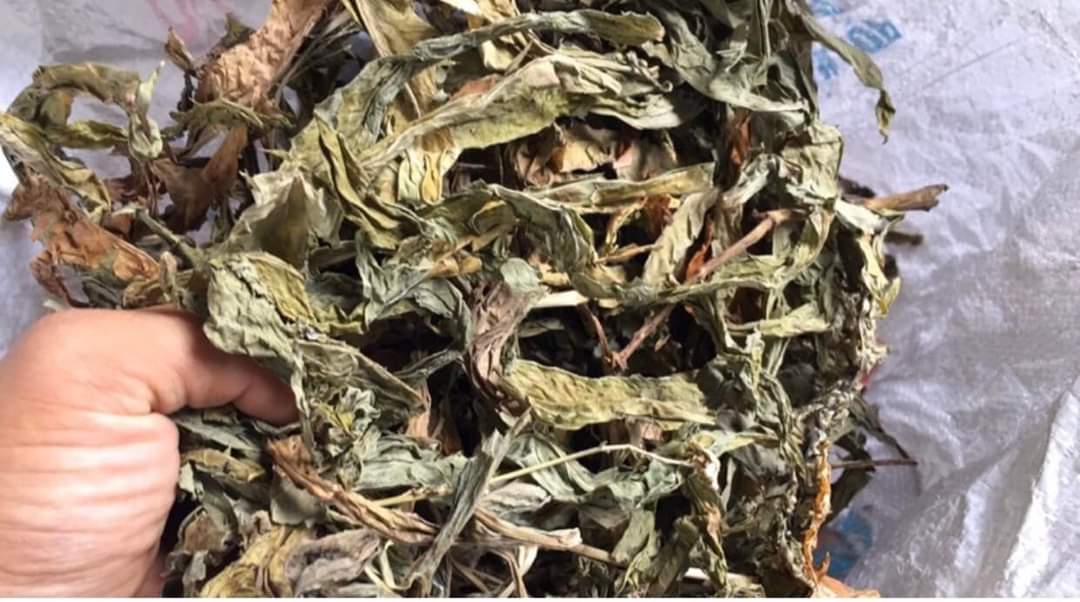 1kg bồ công anh khô