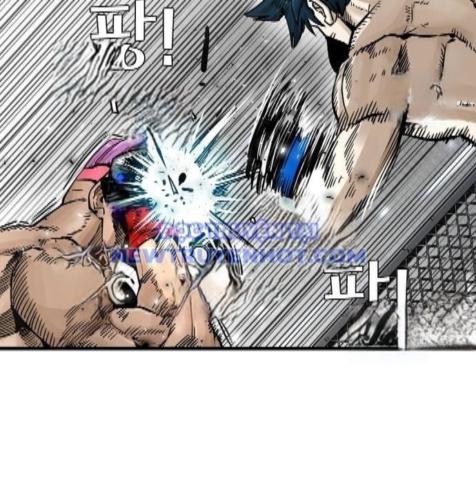 shark - cá mập chapter 346 146