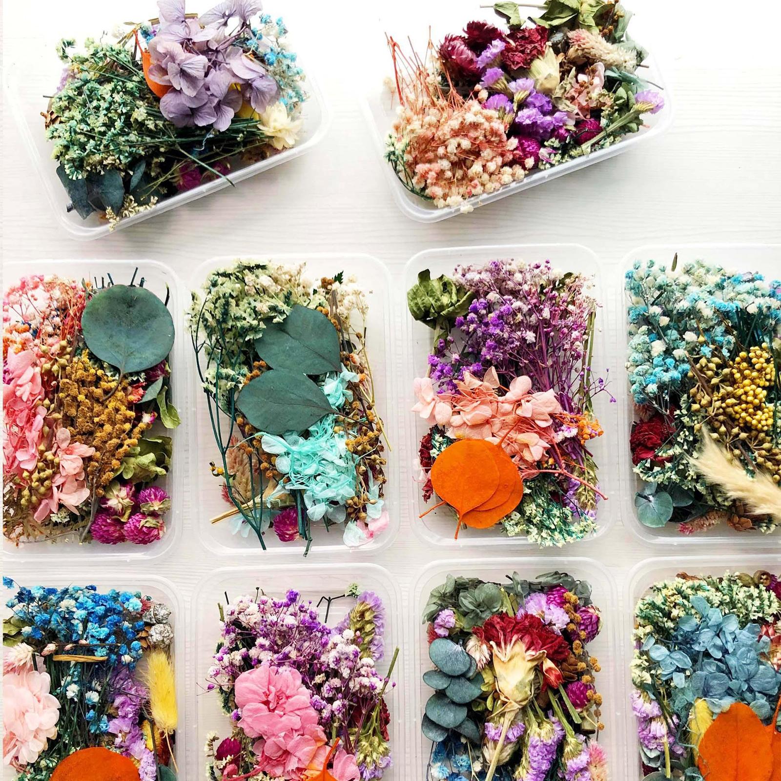 1Box Mix Natural Real Pressed Dried Flowers Petals Leaves Crafts Card Making