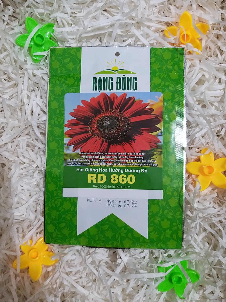 Hạt Giống Hoa Hướng Dương Đỏ RD 960