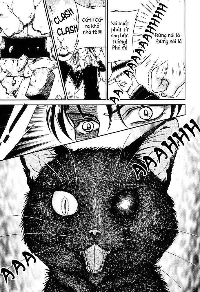 mèo đen pluto chapter 1 41